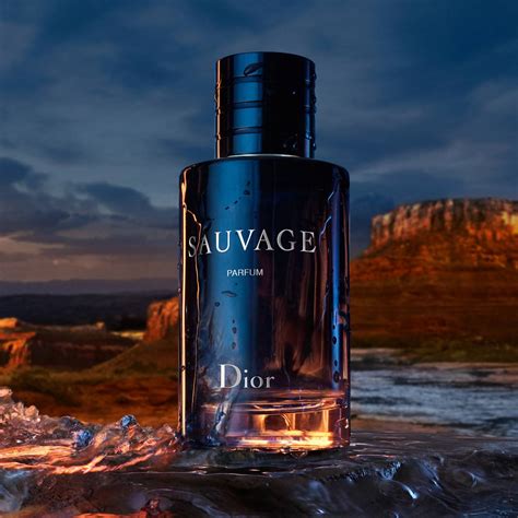 sauvage dior ambiance spray|dior sauvage 100ml cheapest.